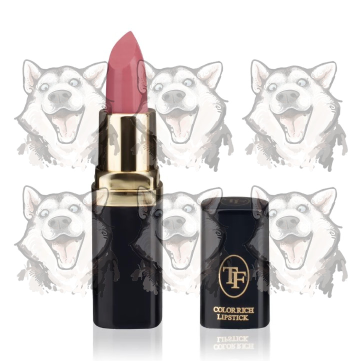 Помада для губ TF cosmetics Color Rich Lipstick тон 09. Купить в ...