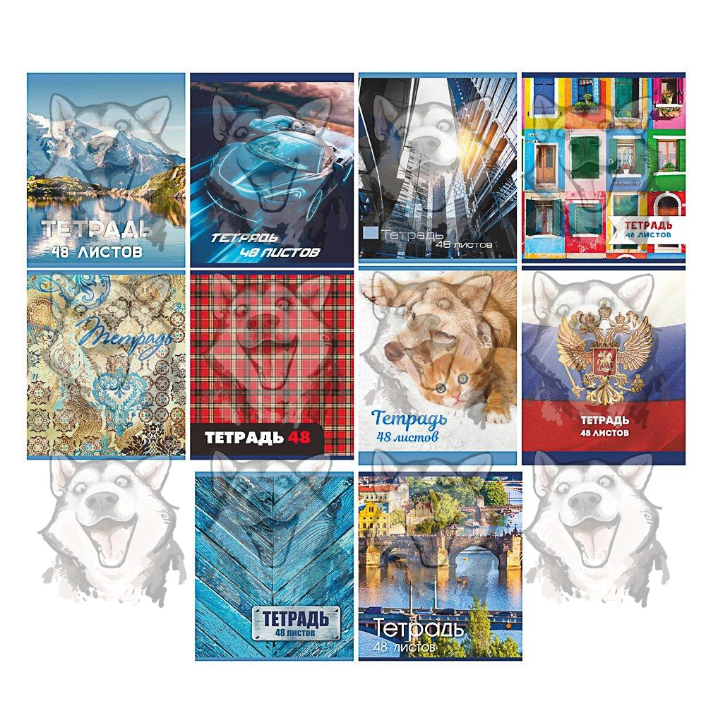 Тетрадь ClipStudio 10 дизайнов А5 клетка 48 листов. Купить в