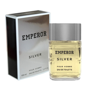 Туалетная вода Today Parfum Emperor Silver мужская 100 мл 100 мл