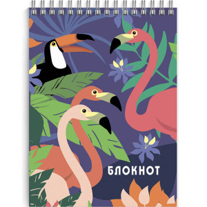 BL A6/120 52220 Феникс Блокнот Фламинго спираль,кл