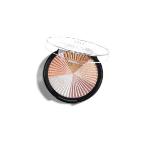 Хайлайтер TNL Professional Perfect Shine 6.5 гр