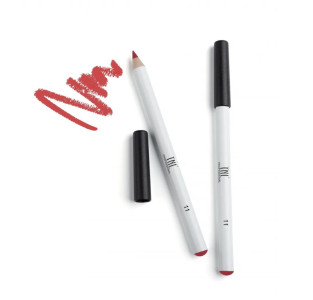 Карандаш для губ TNL Professional Stable contour тон 11