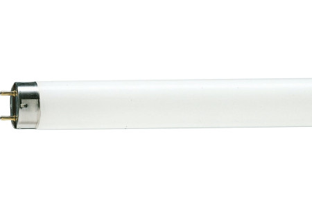 Лампа люминисцентная Т8 18Вт Philips G13 220В  54-765 холодный