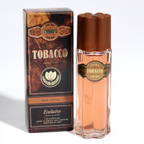 Туалетная вода Today Parfum Cigar's Tobacco мужская 100 мл