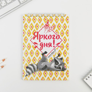 Скетчбук ArtFox Енот А5 40 л