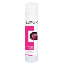 Шампунь для волос Luxor Professional Color Save Care для сохранения цвета окрашенных волос 300 мл