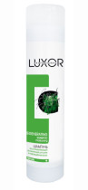 Шампунь для волос Luxor Professional Regenerating Care восстанавливающий увлажняющий для сухих и поврежденных волос 300 мл
