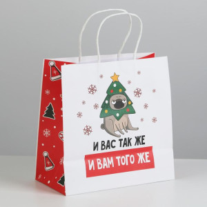 Пакет подарочный Дарите Счастье А вас также 22×22×11 см