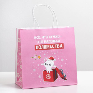 Пакет подарочный Дарите Счастье Капелька волшебства 22×22×11 см