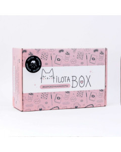Подарочный набор MilotaBox Fruit Box с сюрпризным наполнением - 1