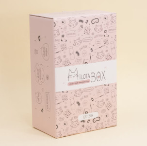 Подарочный набор MilotaBox Cat Box mini с сюрпризным наполнением - 1