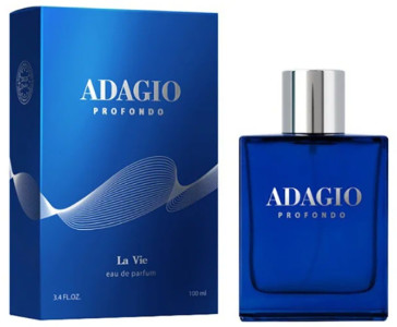 Парфюмерная вода Dilis Parfum La Vie Adagio Profondo мужская 100 мл