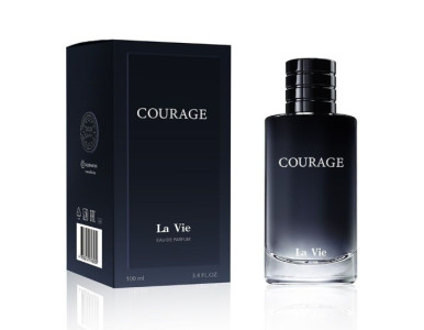 Парфюмерная вода Dilis Parfum La Vie Courage мужская 100 мл