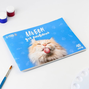 Альбом для рисования Котик А4 40 л