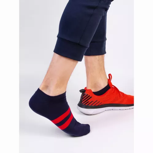 Носки Красная Ветка мужские укороченные размер 25 х/б рисунок полоска синий – 1