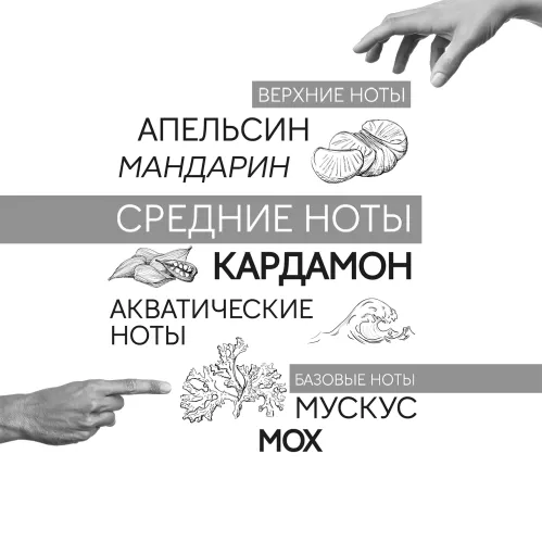 Парфюмерная вода Art&Nose Composition #6 мужская 90 мл – 5