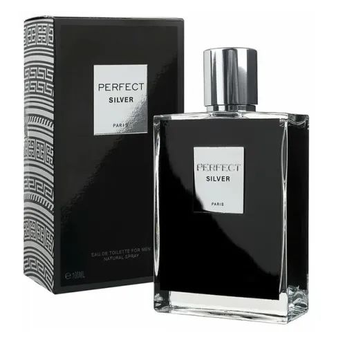 Туалетная вода Geparlys Parfums Perfect Silver мужская 100 мл – 1