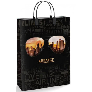 Пакет подарочный Интерпак пластиковые ручки Авиатор 30*40*10 см