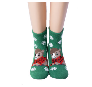 Носки Hobby Line махровые-пенка Лошадка в шарфе размер 36-40