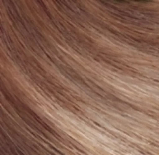 Крем-краска для волос Garnier Color Naturals Стойкая питательная оттенок 8.132 Натуральный светло-русый – 8