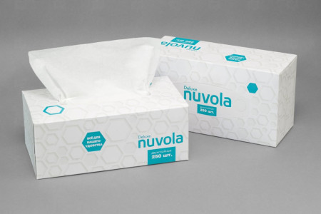 Салфетки в коробке "NUVOLA" deluxe 2-х сл. 250 шт