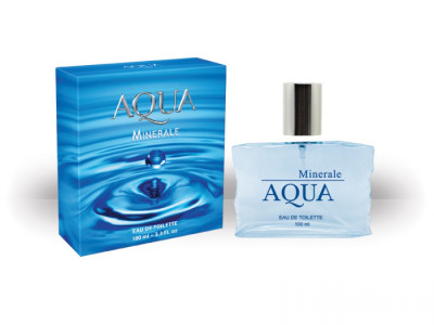 Туалетная вода Andre Renoir Aqua for man Minerale мужская 100 мл