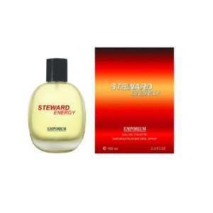 Туалетная вода Steward Energy 100мл