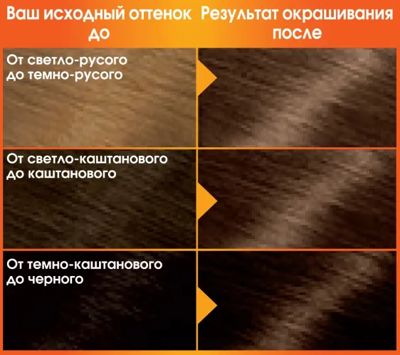 Краска для волос Garnier Color Naturals питательная оттенок 6 Лесной орех – 1