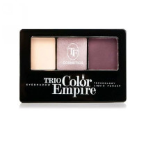 Тени для век TF cosmetics три цвета тон 307 Аметисовый 11 гр