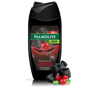 Гель для душа Palmolive Очищение и Перезагрузка 4 в 1 для мужчин 250 мл - 1