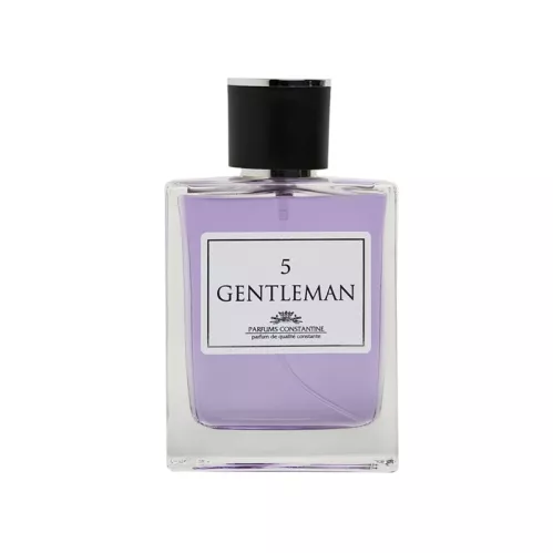 Туалетная вода Parfums Constantine Gentleman №5 мужская 100 мл – 1