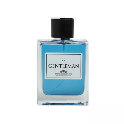 Туалетная вода Parfums Constantine Gentleman №6 мужская 100 мл – 1