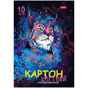 CB 10Кц4 20671 Hatber Н-р цв картона "Рысь" А4 10л