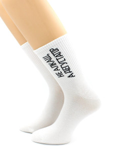 Носки Hobby Line Не алкаш,а дегустатор унисекс р.39-43