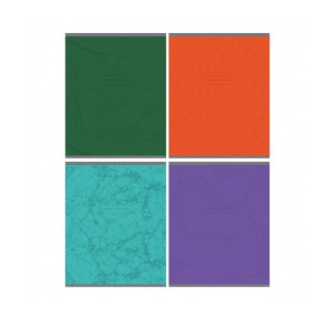 Тетрадь Color screen 48 л