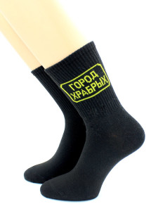Носки Hobby Line мужские Город храбрых 39-43 см